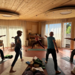 Yoga im Gruppenraum Sensfera